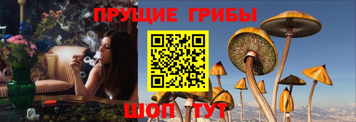 Кокаин  Масло ТГК  Как найти закладки?  Марки  МЕФ  Вход с VPN  Мефедрон  Сорочинск  Ляпка  Каннабис 
