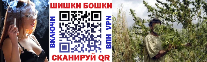 Шишки марихуана конопля как найти закладки Сорочинск